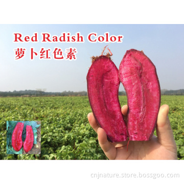 Red radish color